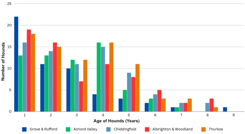 Foxhounds lifespan at hunts in England and Wales